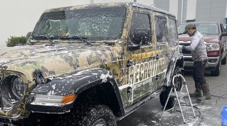 car detailing shark east